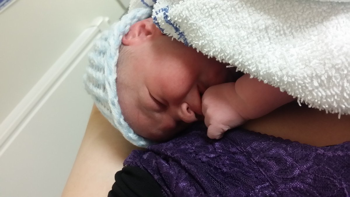 splitty234's tweet image. Meat the new member of the Cooke family freddy he's a cracker made up #prouddadmoment