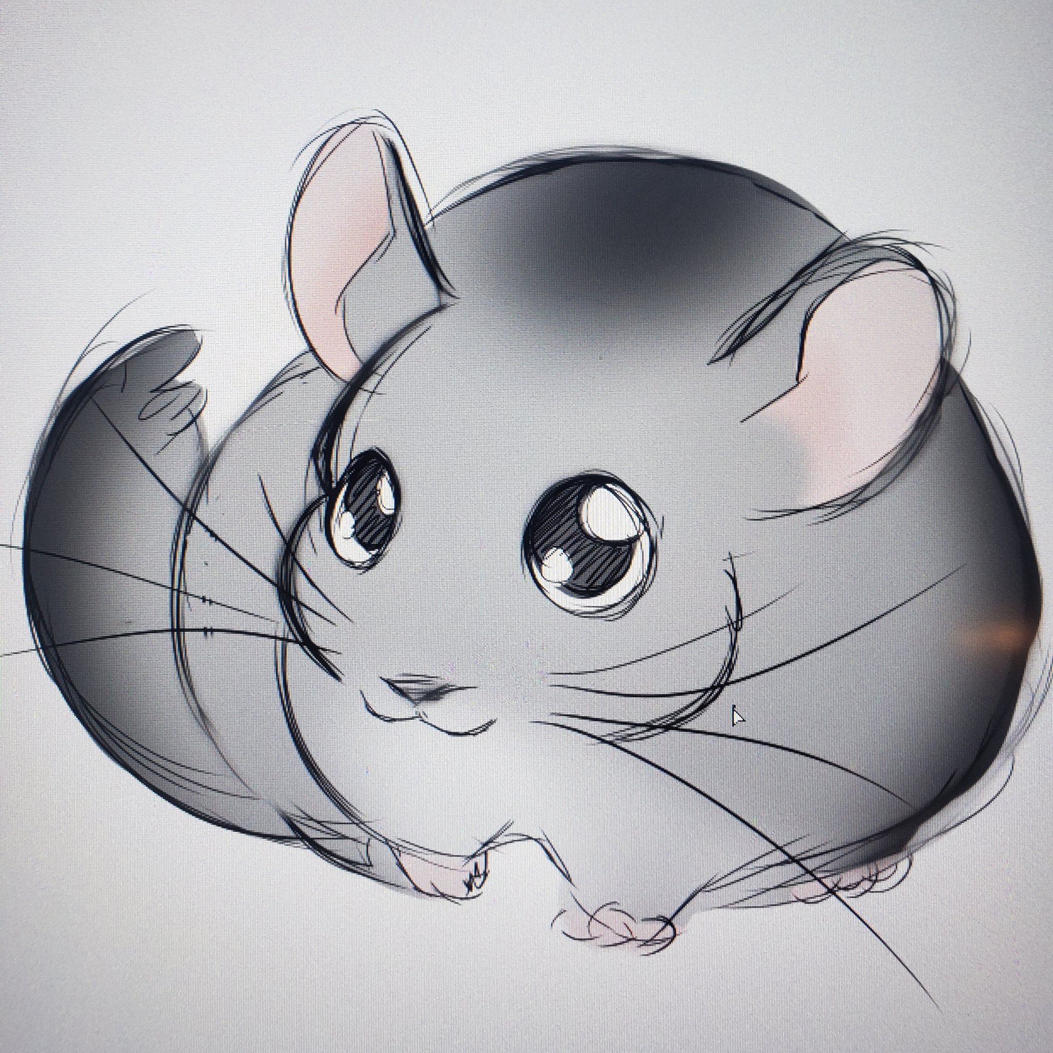 Fat Little Chinchilla Sketch Illustration 85 X 11 Black  Etsy