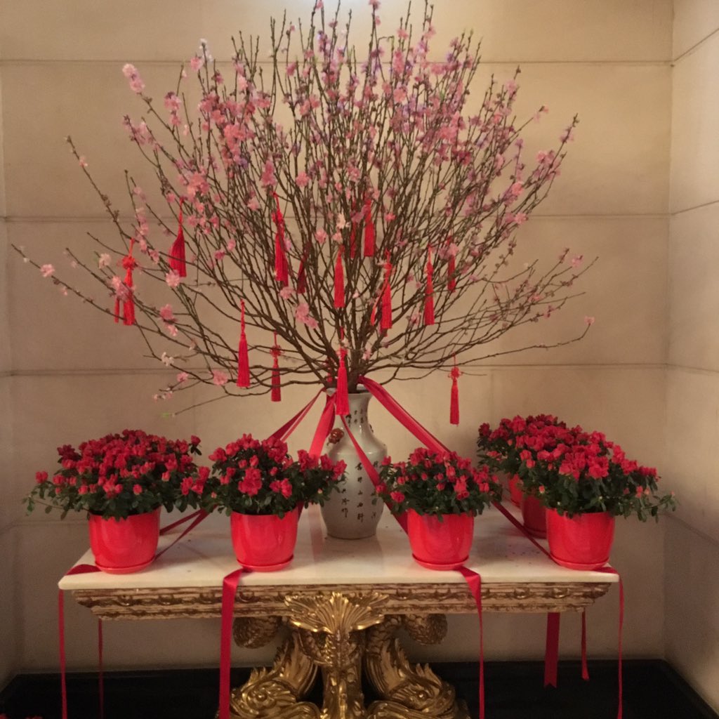 🚶🏻Curtis S. Chin tweet media