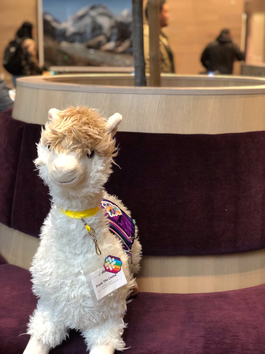 FrankLlama's tweet photo. Still can’t believe @SlackHQ let me and my misfit team into the building! Check out my new name tag #offish #slack #startuplife @FunctionallyApp https://t.co/YC0oW0pJYc