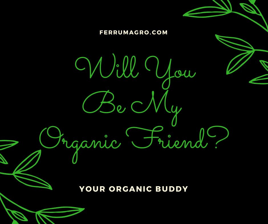 FerrumAgro's tweet photo. Will you?
.
.
.
#organicfriend #friend #friendship #instafriend #agroorganic #organic #organicfood #seedslife #healthiswealth #fitness #fitnessaddict https://t.co/cVrnHYwXz2