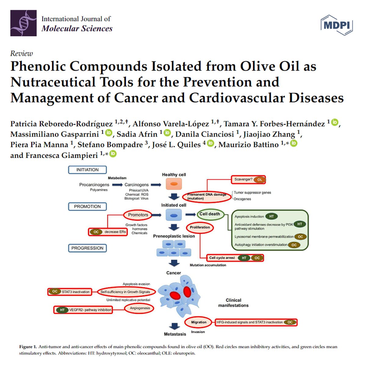 inpst on twitter: "phenolic compounds isolated from olive