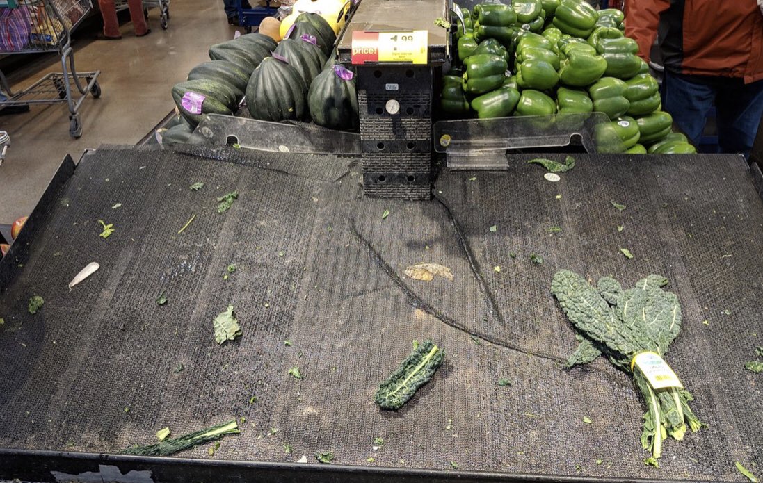 It’s the real #snowpocalypse2019 in #Portland when #kale is SOLD OUT. 
I want to know if it’s #redrussiankale, or #dinosaurkale or #lacinatokale.