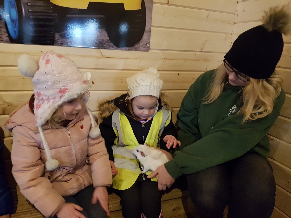 FairfieldRD's tweet photo. Guinea pig cuddles at the farm 🐹 #EYFS #FPA  #Shinelikeastar https://t.co/fgnu5tm6uF