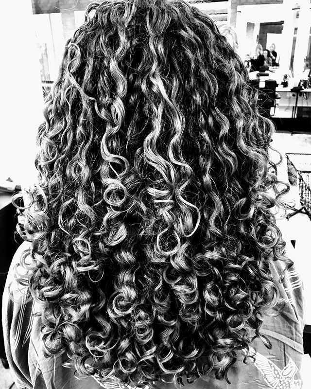 LHcurlwhisperer's tweet photo. Just look 👀 at these beauties! #sheamoisture #beautiful #lindseyhughescurlwhisperer #devacut #devachan #boucleme #betruetoyourself #curlyhairspecialist https://t.co/ofpQl0mw86 https://t.co/A6ibBxWrEs