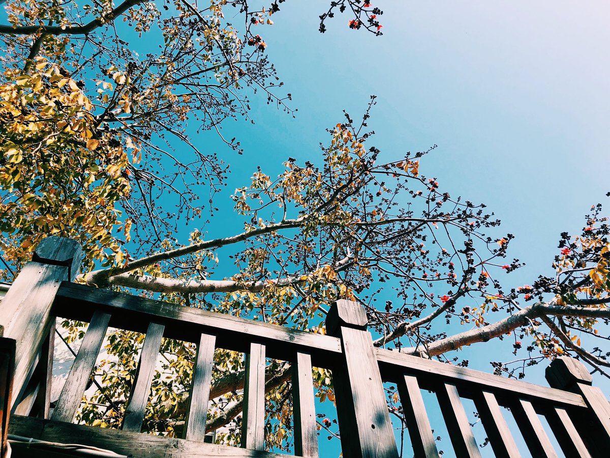 huangchiawei's tweet photo. Spring will be coming https://t.co/sUpDFBbDv6