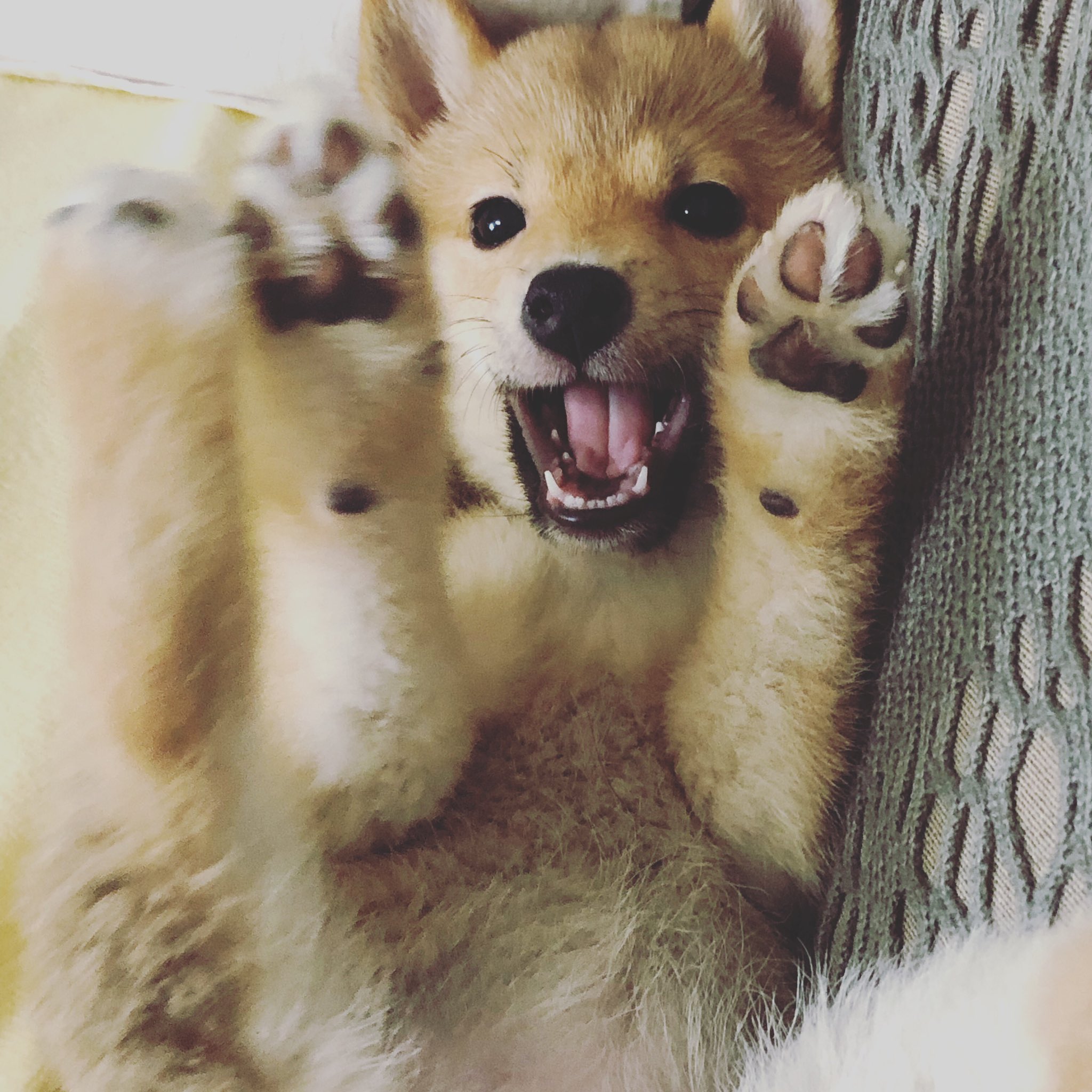 馬場康誌 on Twitter