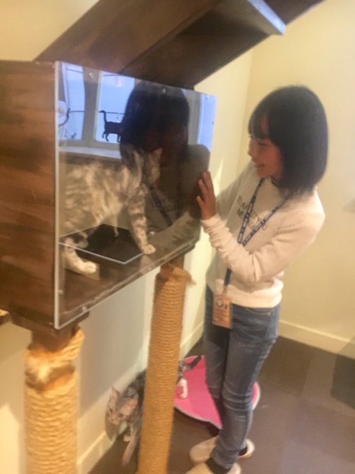 Twitterのコスプレ画像43