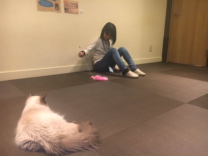 Twitterのコスプレ画像45