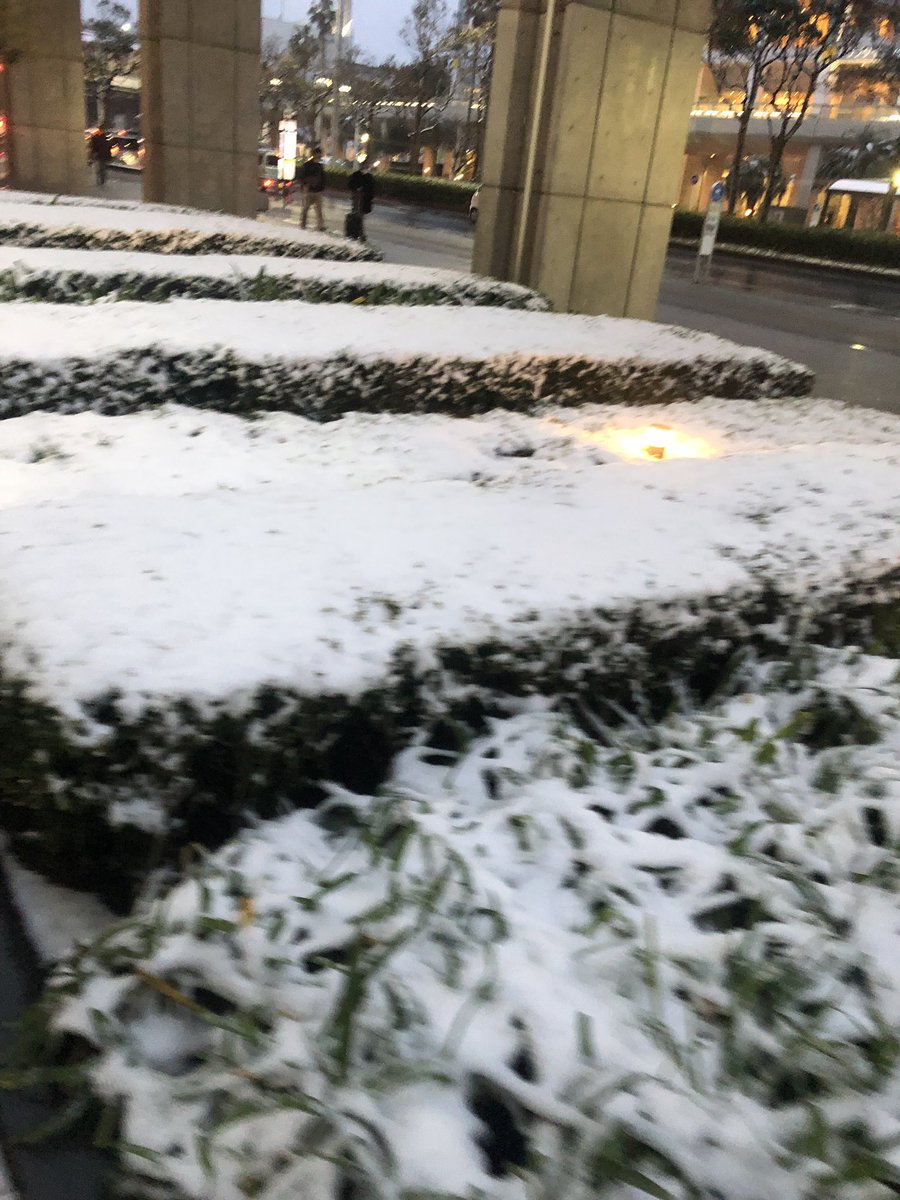 しんでねる あら 雪降ってるじゃない 寒いと思ったわ しんでねる あら 雪降ってるじゃない 寒いと思ったわ