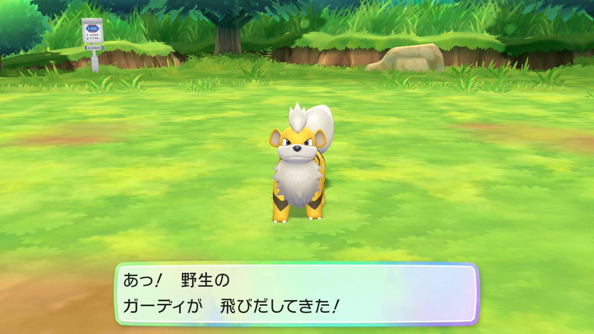 たむりん ポケモン O W O Pa Twitter ピカブイ Nintendoswitch たむりん色物語 ガーディ ウインディ 前回の連鎖をそのまま続けてたらピカリン 連続152匹目 色ガーディちゃん 親子揃った