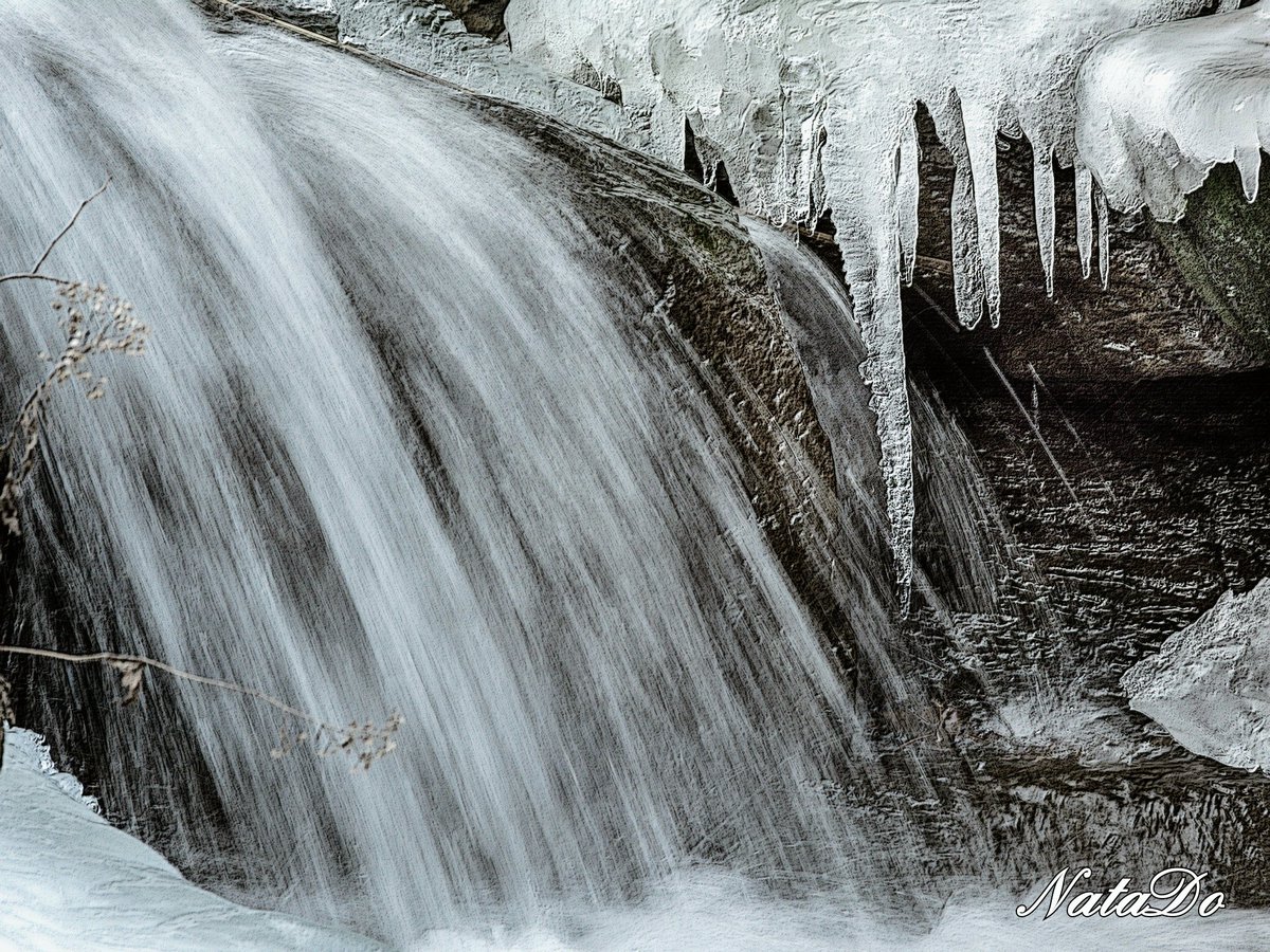 #bhportdev #winter #CentralPark