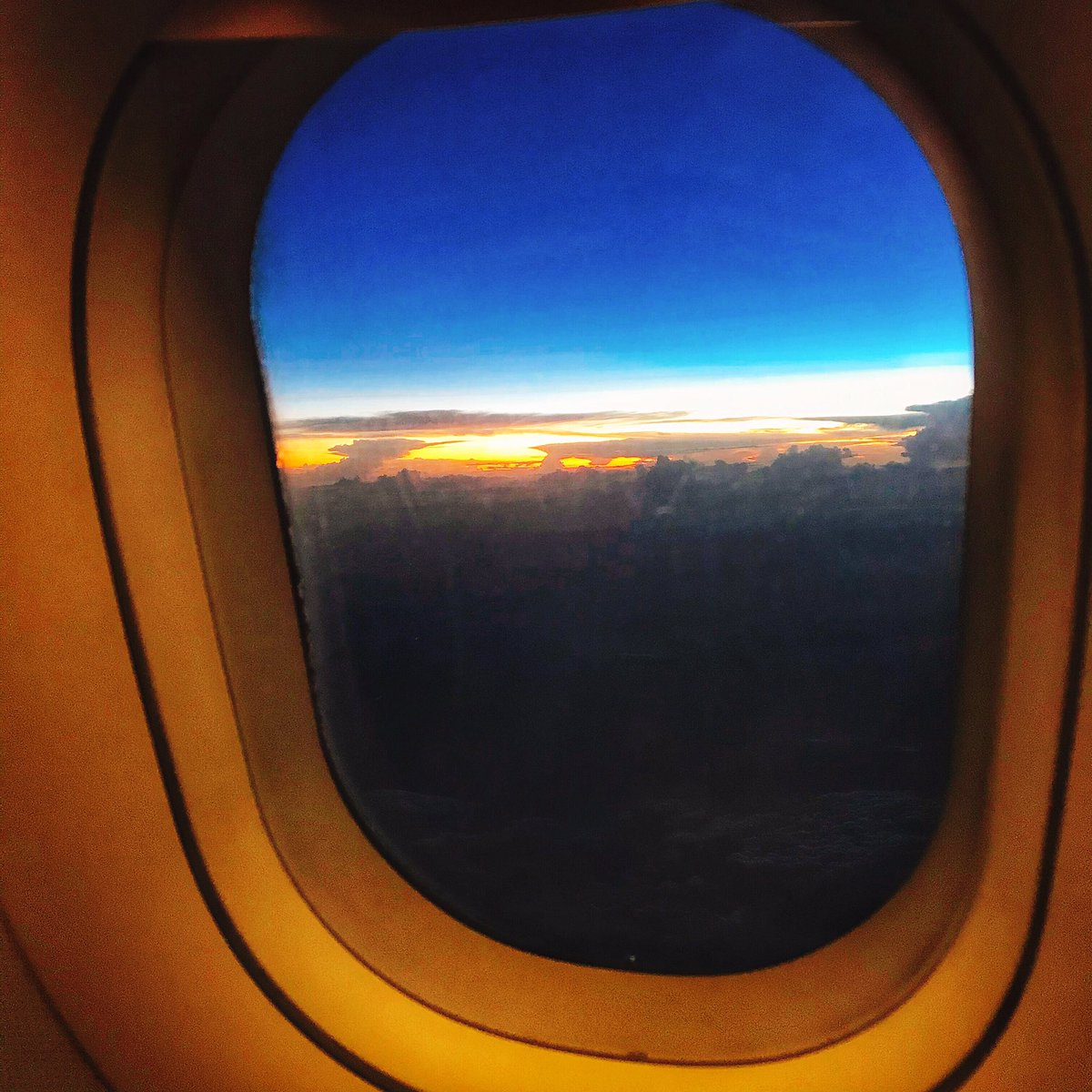 AlluringCombine's tweet photo. Travelling is always a priceless experience with learning mode. https://t.co/q7LT9lYPpA