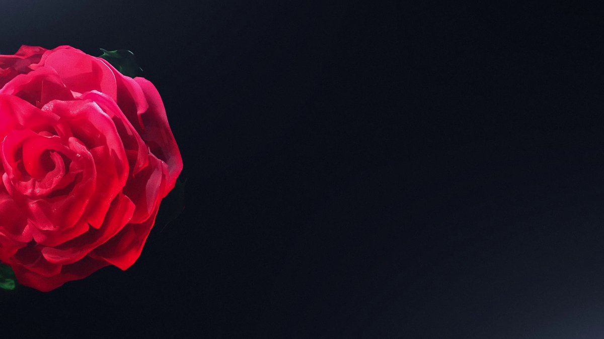 Enjoy your #valentine with #love &amp; #rose with this #beautiful #crafted #footage in #pond5 #collection
bit.ly/lovenrose