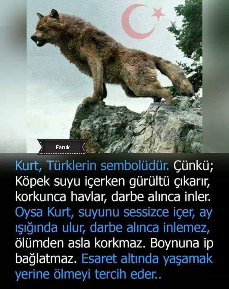 MKAFaruk's tweet photo. https://t.co/GnzJhJuC6w