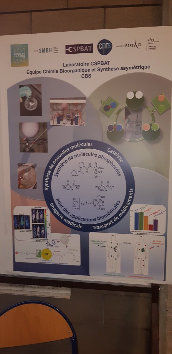 JOLANDA SPADAVECCHIA tweet media