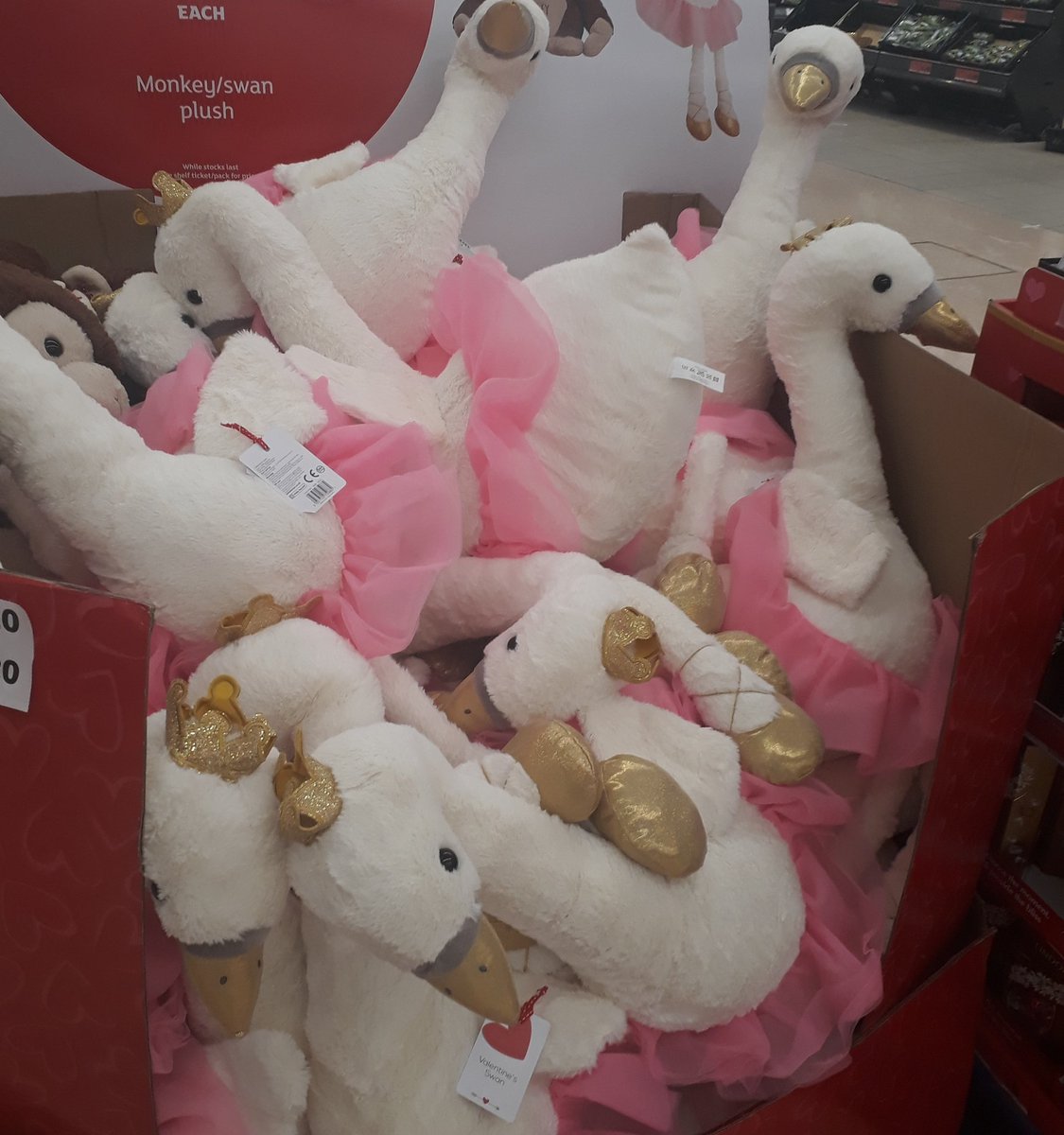 Swannythe2nd's tweet photo. Loving all the swan based stuff around at the moment but how am I meant to resist buying it all for the nieces? #auntproblems https://t.co/FtQxvWUlCm