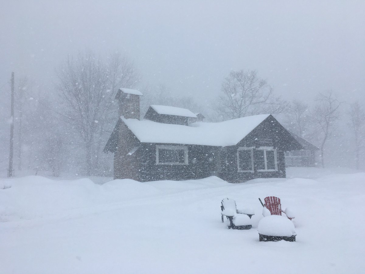 RosseauLake's tweet image. Yesterday marked the launch of our #DiscoveryDays for Semester 2. After lunch we all went outside to enjoy #ActiveTime. #CAISschools #CISschools #getoutside