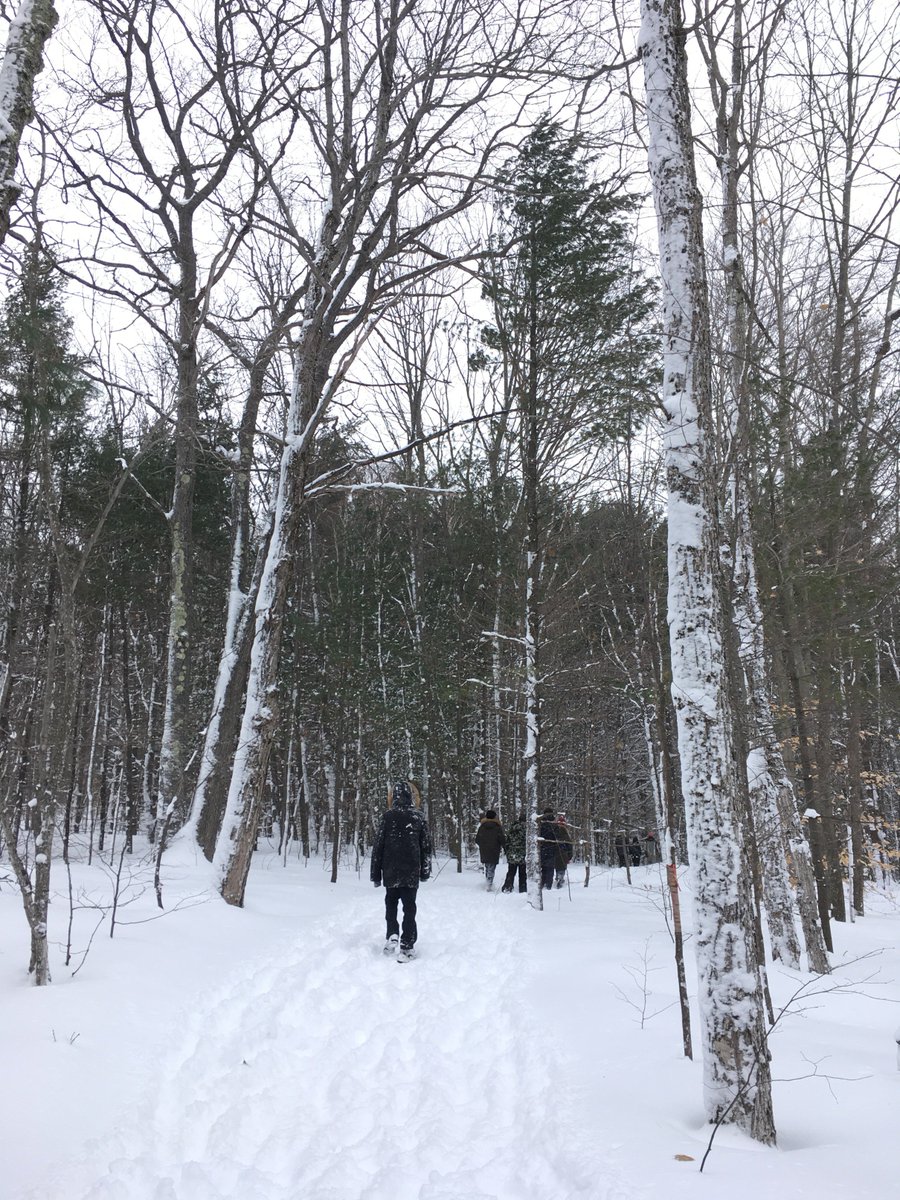 RosseauLake's tweet image. Yesterday marked the launch of our #DiscoveryDays for Semester 2. After lunch we all went outside to enjoy #ActiveTime. #CAISschools #CISschools #getoutside