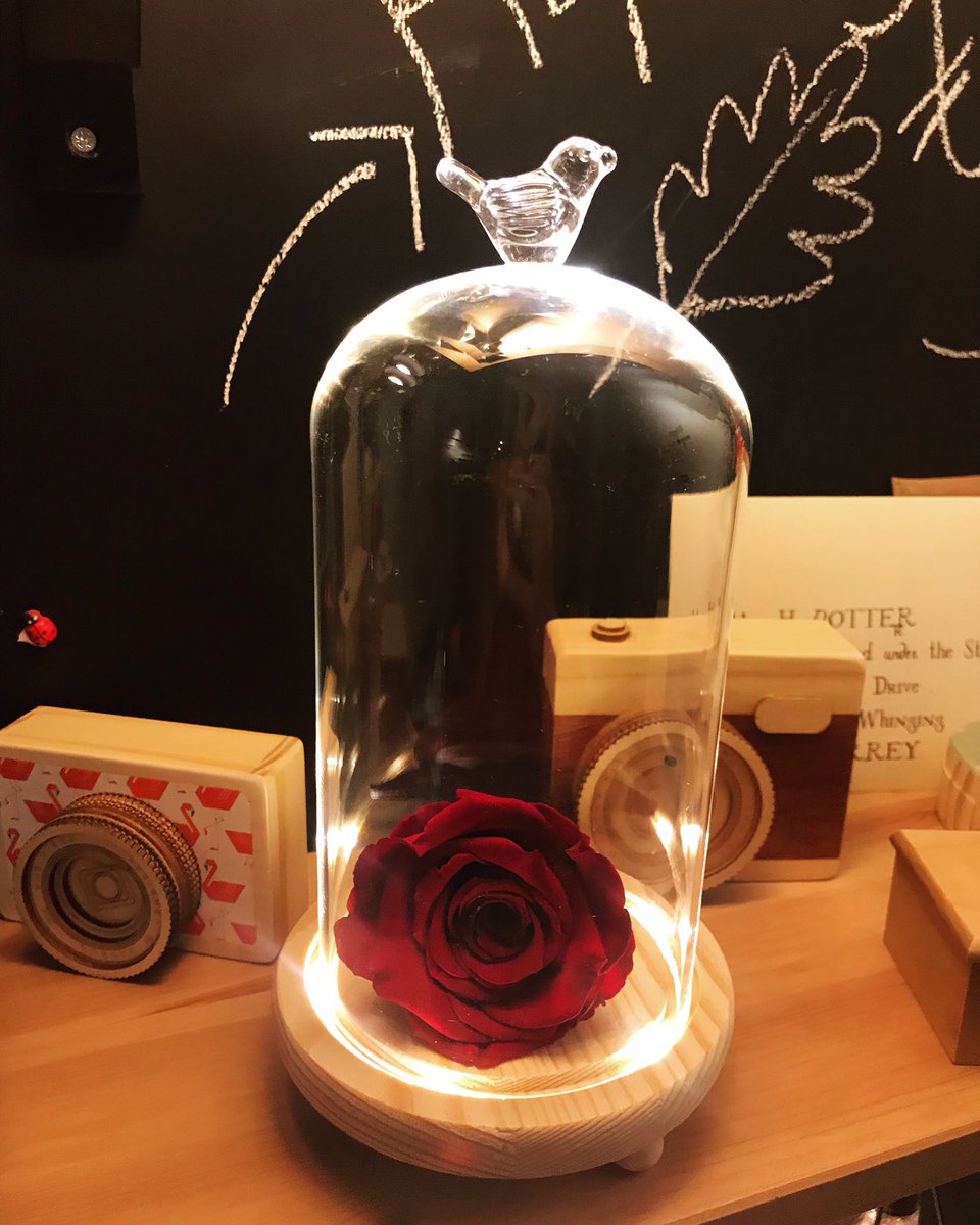 Sevgililer Günü’ne özel ışıklı fanus içine solmayan gül koyduk🌹♥️ Sınırlı sayıda bu özel ürünü satın almak için➡️ shopier.com/ShowProductNew…

#sevgililergünü