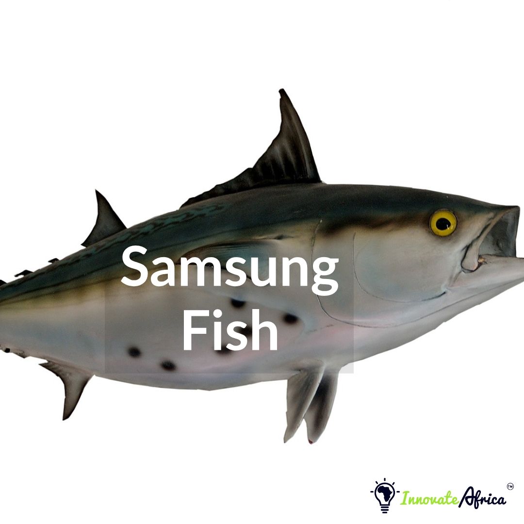 Where you start is not what matters. Your vision matters more. Samsung started in 1938 selling dry fish, vegetables and flour. Keep your vision alive!
#innovateafrica #innovateforprosperity #Africa