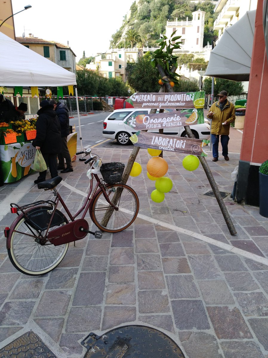 OttoneLuca's tweet photo. Siamo qui! Siamo pronti! #agrumare #pernambucco #limoni #cedri #mandarini #lamialiguriaagricola #finalpia #LaMiaLiguria #finaleligure #agrumi #citrus https://t.co/8HbRoHk3f3