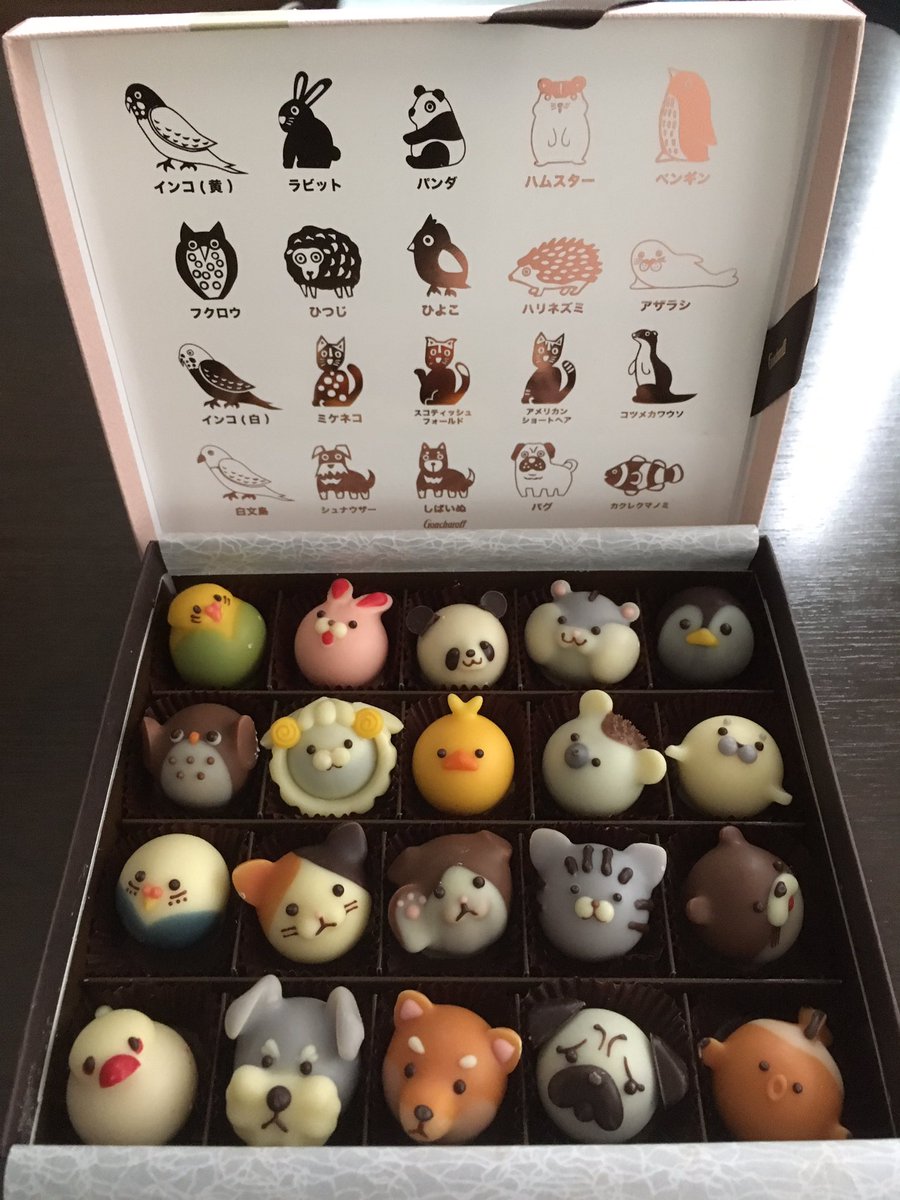 チョコ 動物