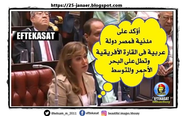 ليلى فى لجنة الدستور كلمات سيخلدها التاريخ