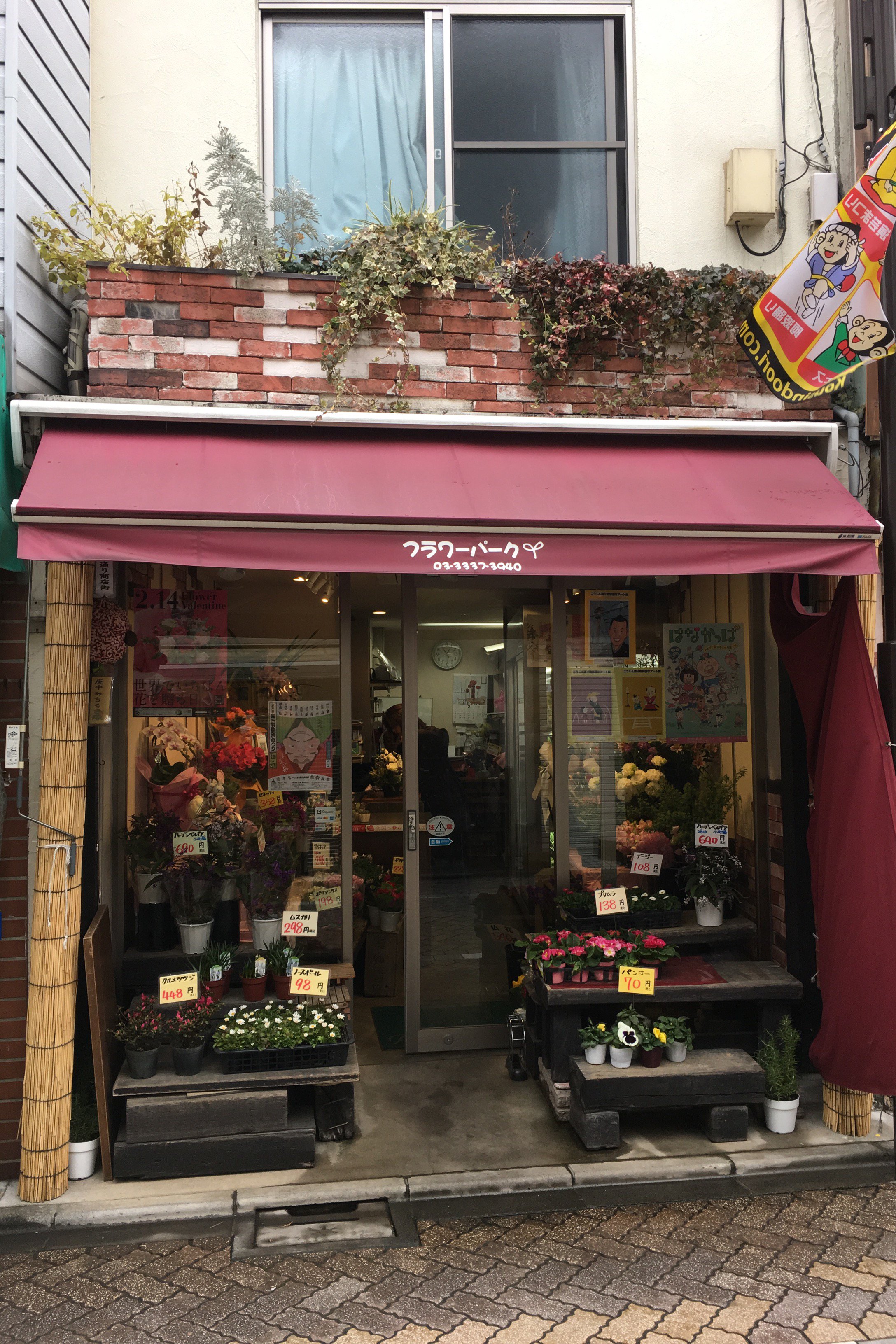 花屋フラワーパーク Twitter Search Twitter