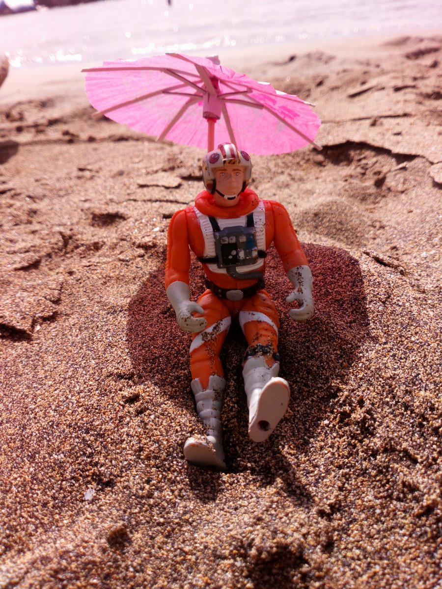 moongiblet's tweet photo. Luke is having a beach day @HammilHimself https://t.co/ojGGYgeHp0