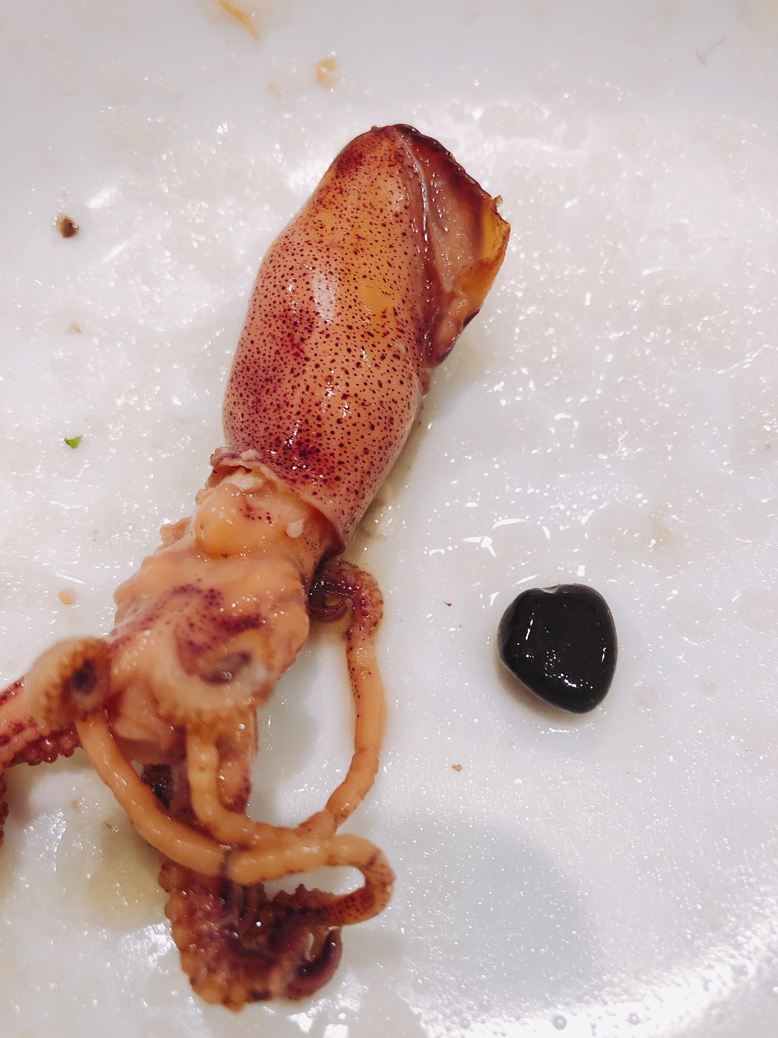 黒沢咲 ちょっと 小さいイカ食べたら ただならぬ食感でね いや 噛めない 無理 そしたは カラーンって こんな大きい石が出てきたんだけど ﾟdﾟ T Co Hnnj46yves Twitter