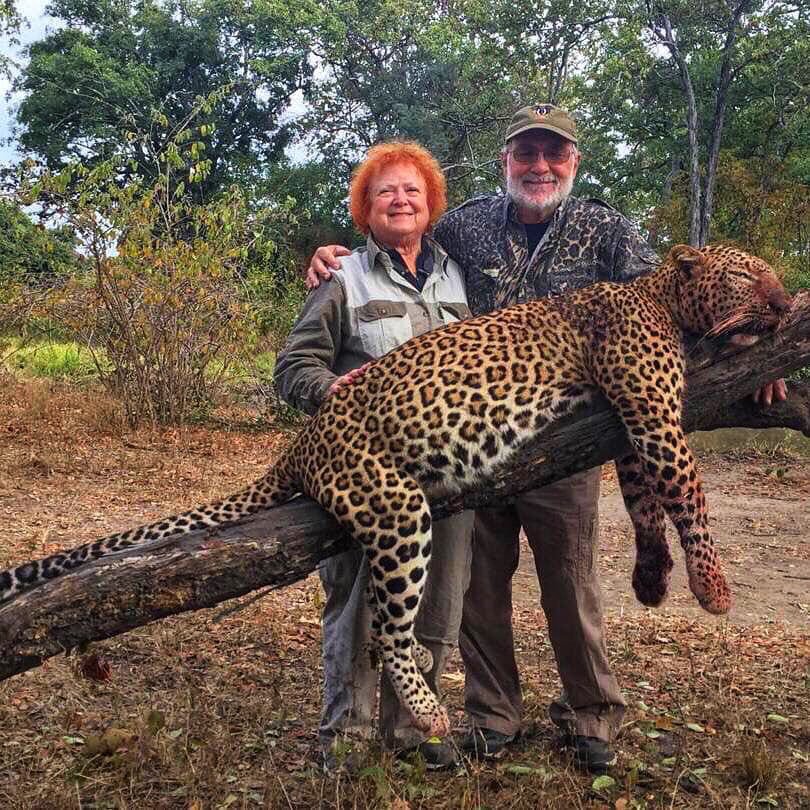 At least he didn't kill the orang utan.