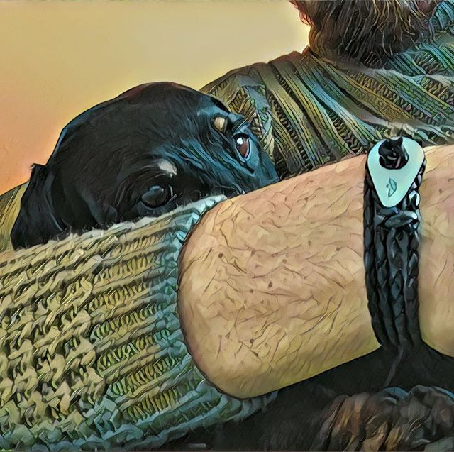 Big3rMan's tweet photo. Little shy one #dachshund #cuddle #shy #dog #sausagedog #hug #sweater #gatewear #fathombracelets #leather #steel #beard #beardedmen #chill #dogsofinstagram https://t.co/oAKdjuc168 https://t.co/DpuH4ELwDm