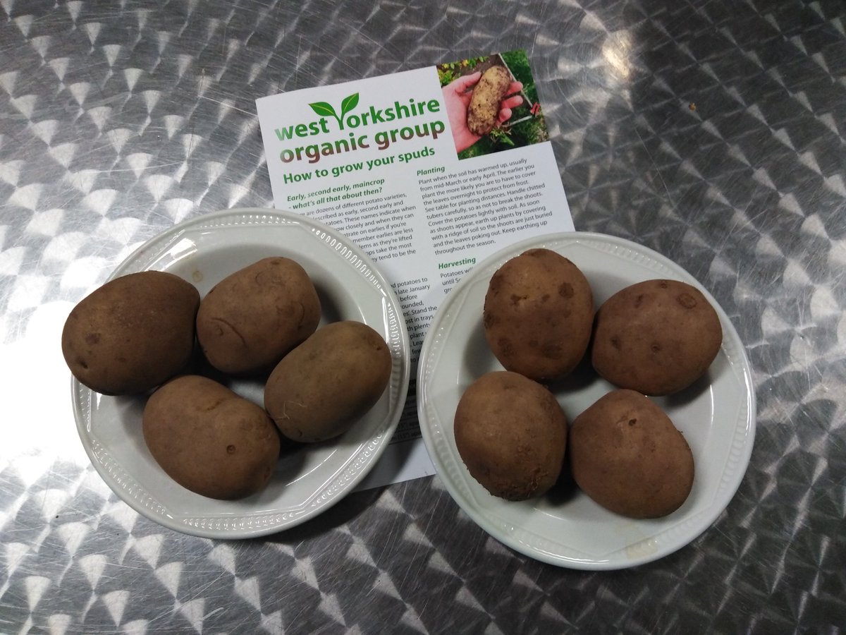 Val Turner tweet media