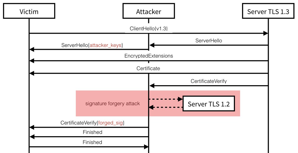 binitamshah's tweet image. Downgrade Attack on TLS 1.3 and Vulnerabilities in Major TLS Libraries : nccgroup.trust/us/about-us/ne…