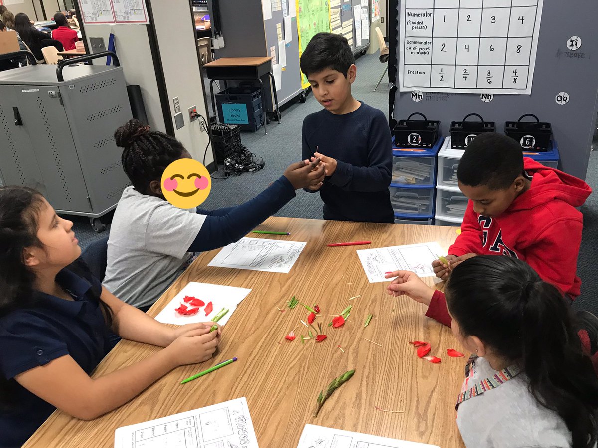 Ms_Guardino's tweet photo. Dissecting a flower to examine the parts! @SheridanCFISD @CFISDScience https://t.co/UY9Co2WHk3