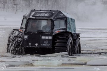 Переглянути зображення у Твіттері