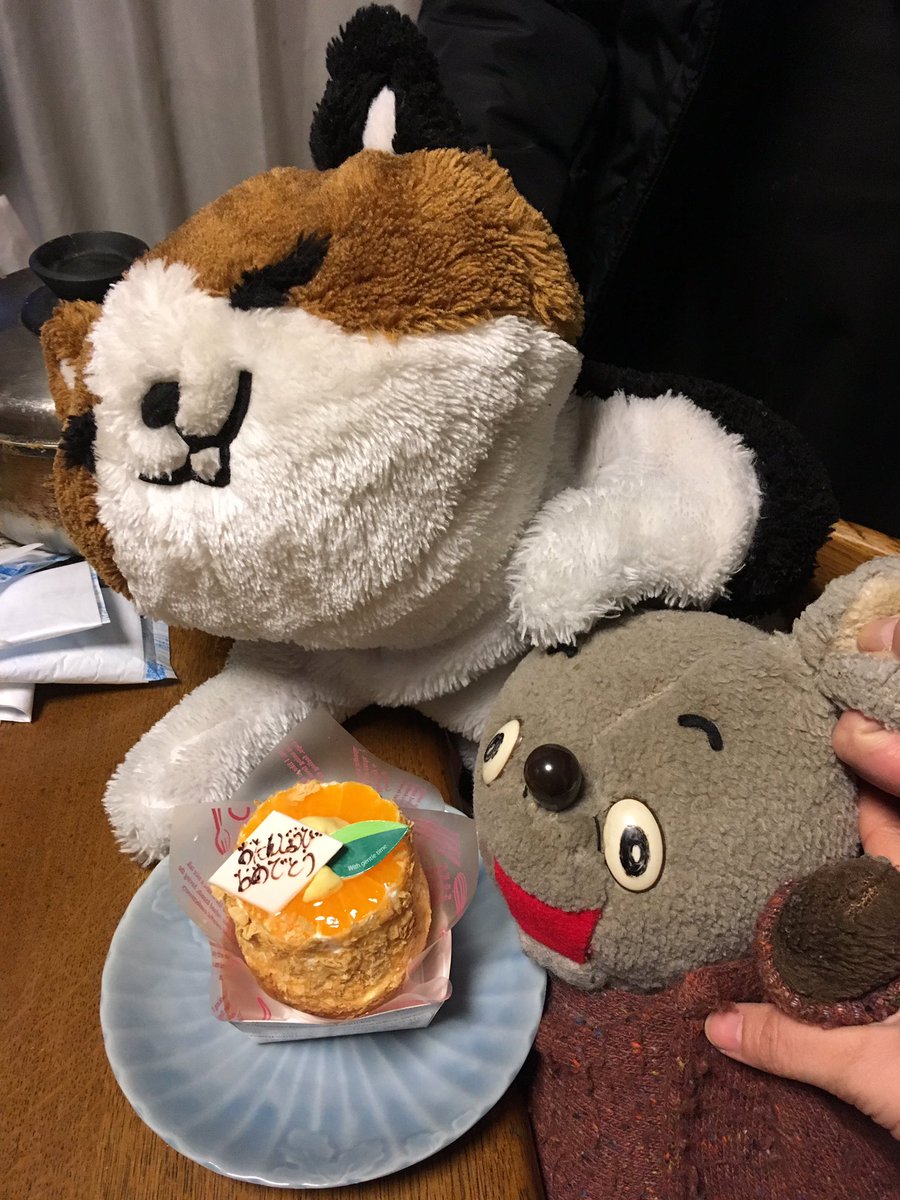 にゃん太添い寝ぬいぐるみ にゃん太添い寝ぬいぐるみ