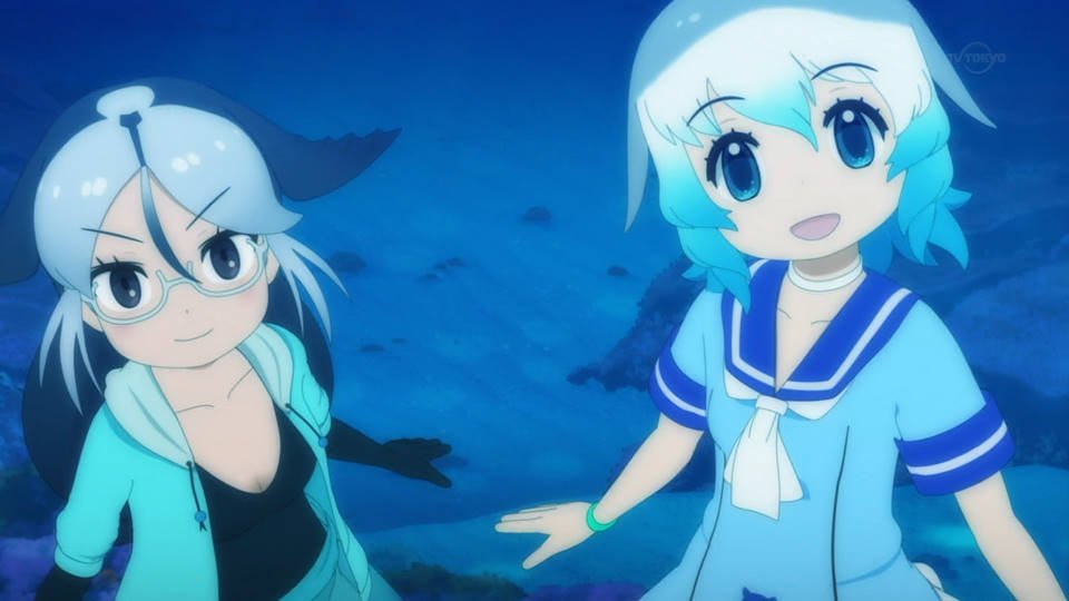ココ ハナハナ No Twitter バンドウイルカちゃん すっごい可愛かった 毎週出たら良いのになぁ まだの人は絶対観てね バンドウイルカ 坂東イルカ けものフレンズ けもフレ Kemono Friends ココ ハナハナ No Twitter バンドウイルカちゃん すっごい可愛かった 毎週出たら良いのになぁ まだの人は絶対観てね バンドウイルカ 坂東イルカ けものフレンズ けもフレ Kemono Friends