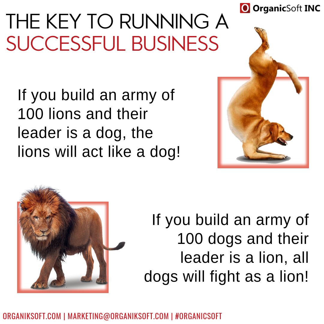 organicsoftinc's tweet photo. Great leaders don't tell you what to do, they show you how it's done! 
#OrganicSoftINC https://t.co/ceCQfw7B8o