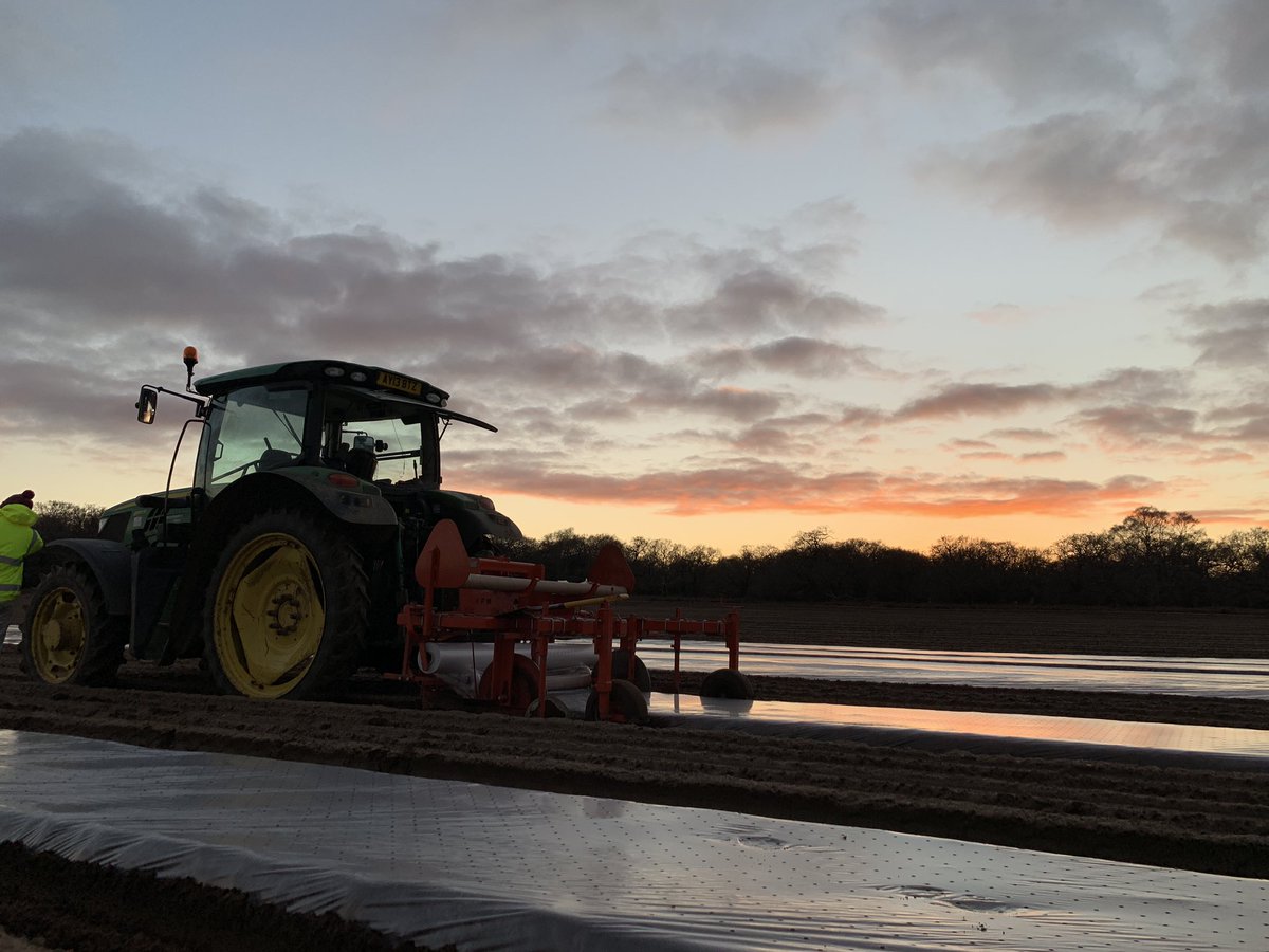 Making most of the weather before the snow hits tomorrow night 🚜🥕❄️ #Carrots  #JohnDeere

<a href="/3musketeersltd/">Three Musketeers</a> <a href="/WantisdenHallFa/">WantisdenHallFarms</a> <a href="/HumdingerProd/">Humdinger Produce</a>