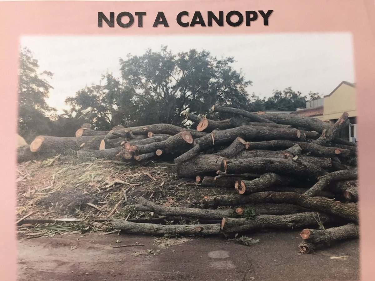 SaveWPLibrary's tweet photo. Tell @WinterParkFla to protect and SAVE TREES at #MLKPARK. WRITE them: mayorandcommissioners@cityofwinterpark.org #winterparkevents #LoveFl #sayfie #FlaPol @meadgarden @floridafriends @AnnaForFlorida @LindaStewartFL @timfreed9 @winterparkvoice @byRyanGillespie https://t.co/O3d8YzLEpe