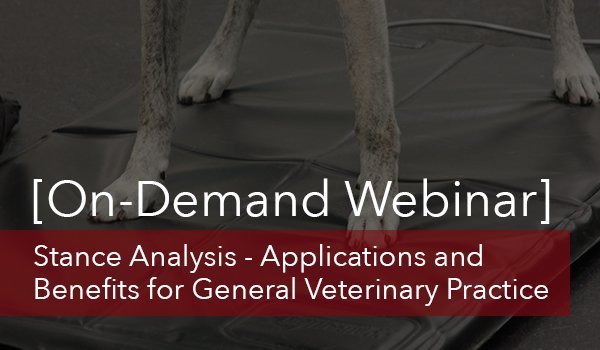 CompanionLaser's tweet photo. New webinar available on-demand! Watch it now to find out how you can leverage a diagnostic technique called "stance analysis" to detect lameness earlier: https://t.co/SzmXdVhdrY #vetmed #veterinarian #vettech #vetnurse #vetrehab #stanceanalysis https://t.co/CndnLk5jED
