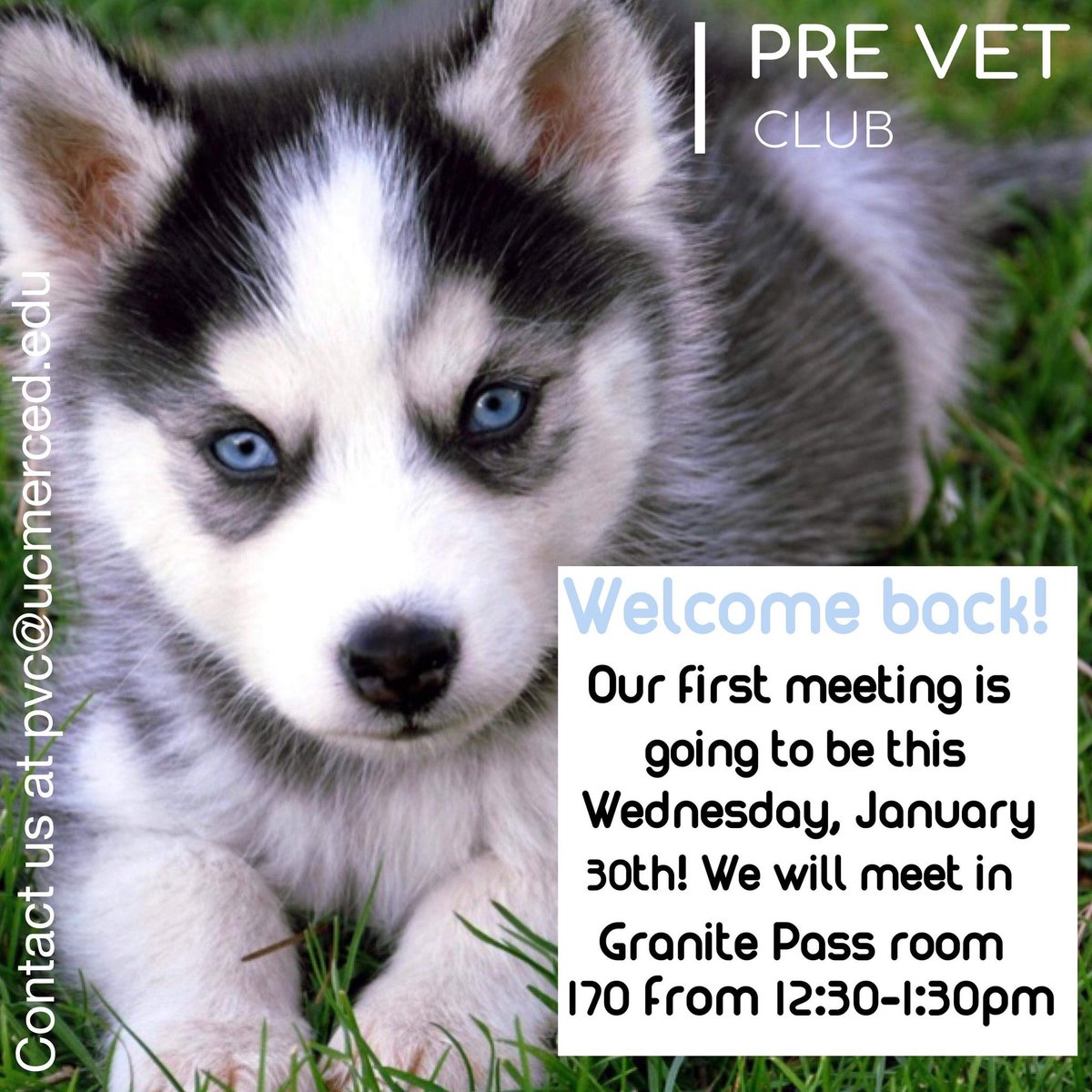 UCMercedPVC's tweet image. Welcome back Bobcats! Our first meeting of the semester is Wednesday. And we have big things planned for the future so be sure to stop by!