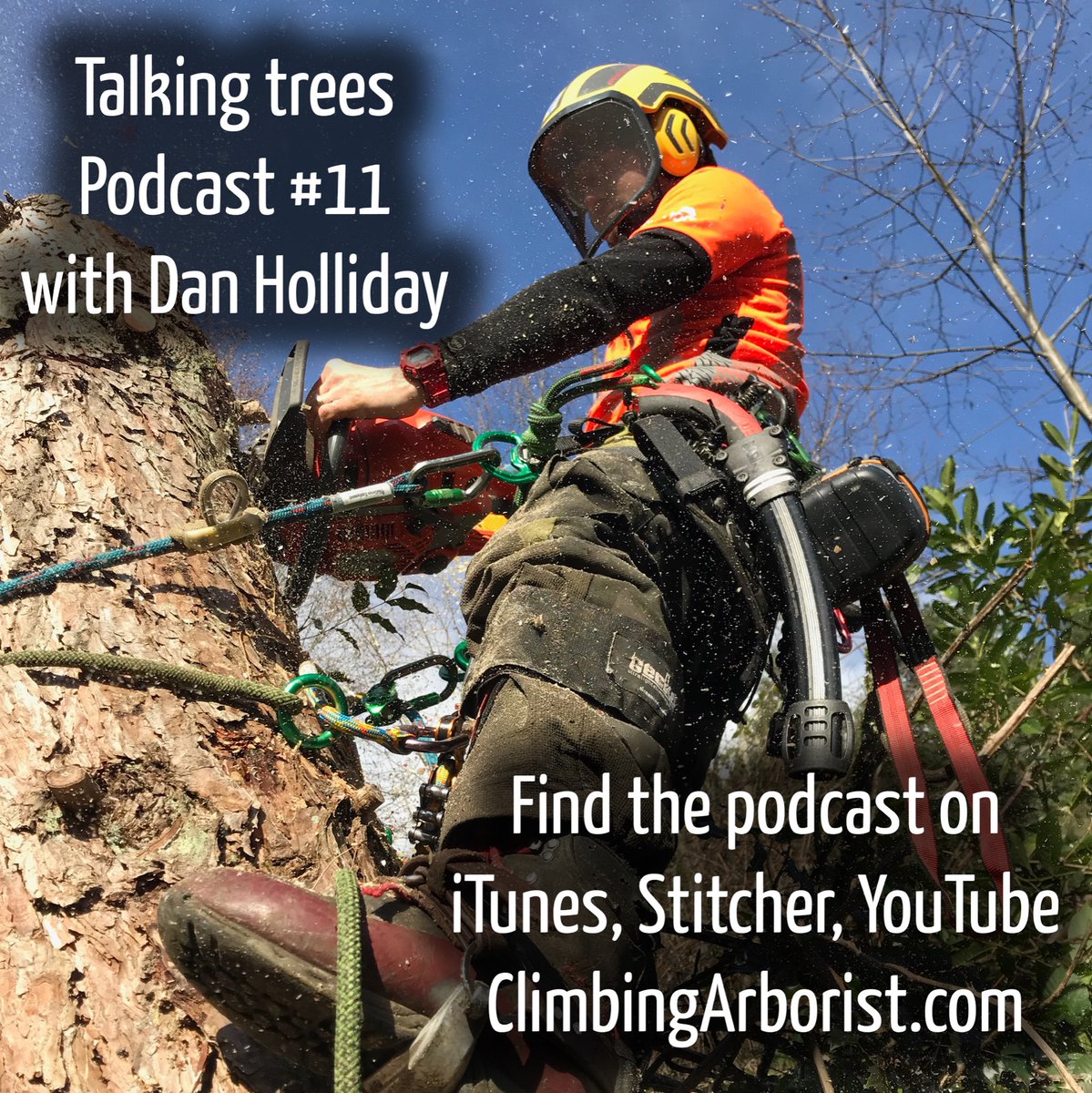 ClimbingArb's tweet photo. Taking trees Podcast 11 is now available on iTunes, stitcher, YouTube and on our website. 
In this episode Dan talks about the safe use of chainsaws in the canopy #climbingarborist #arborist https://t.co/BDy8mP179Z