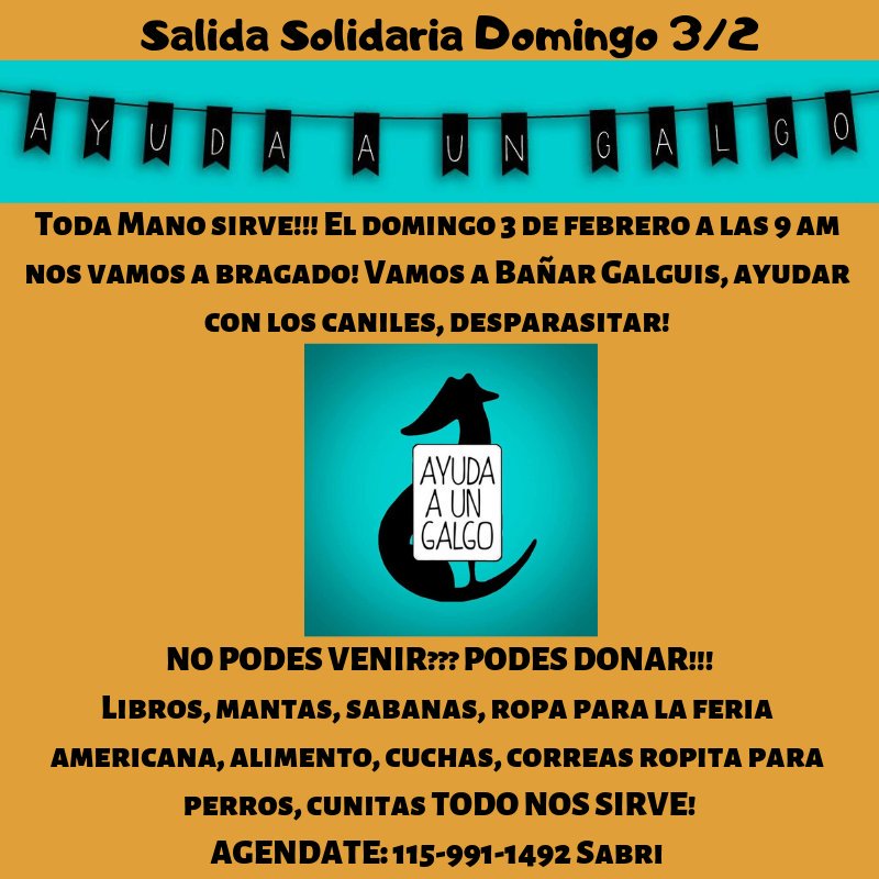 No podes venir? Podes Donar! ❤️ Ayúdanos y hagamos viral colaborar! ❤️ #galgos #animalista #refugio #bragado