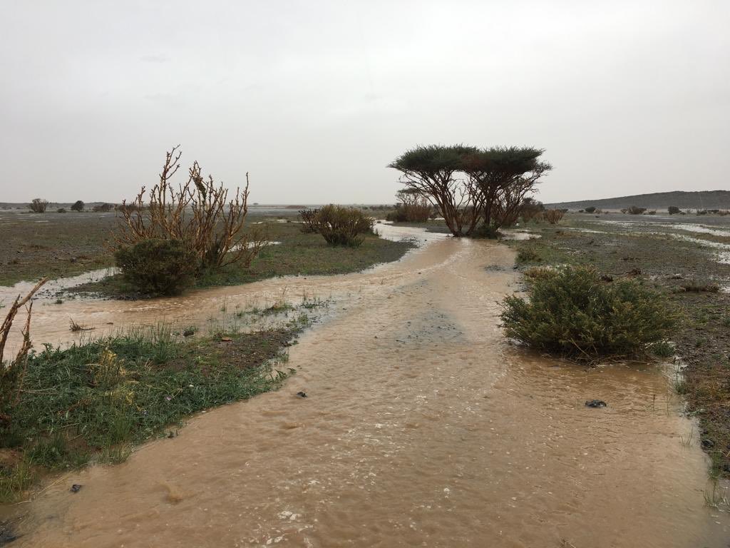 arrasswgroup's tweet photo. شمال سواج جنوب غرب الرس                      اليوم الاثنين 1440/5/22هـ.                          من ابوأنس العلاج @user3676 https://t.co/vMU6gGZkgH