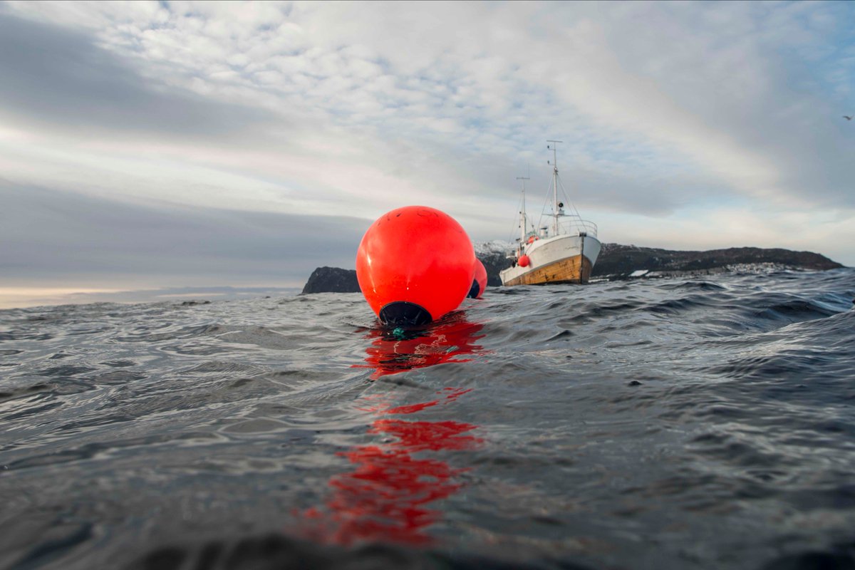 Great pictures showing our Polyform A-Series Buoys. We carry large stock and excellent trade prices. #boatfenders #buoys #polyform