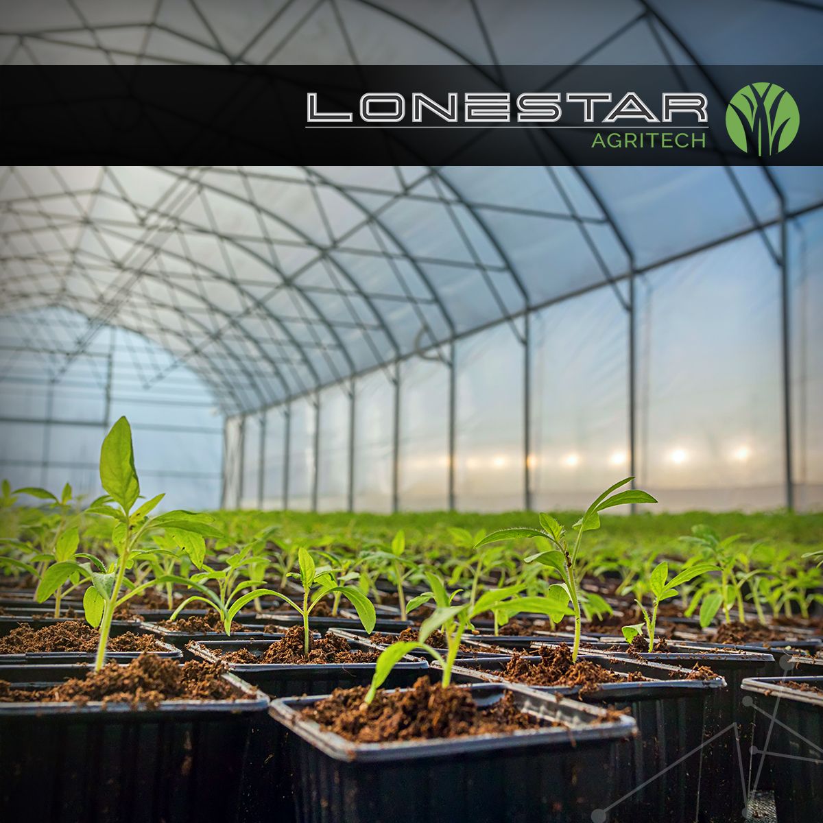 LSLifeSciences's tweet photo. The driving division behind LoneStar Life Sciences and a lead supplier of the precise crops used for the healthcare industry to treat 60 different cancers, pain management, autoimmune disorders, heart disease, and anti-obesity initiatives.

https://t.co/doRCh5ec7P https://t.co/RxH87pdq7Z