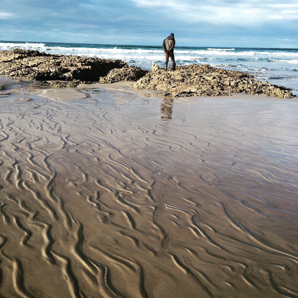 Foraging #Machirbay #islay #winter #sand